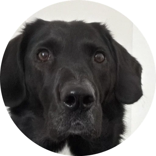 Nash